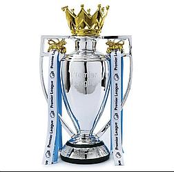 Кубок премьер лиги 44см