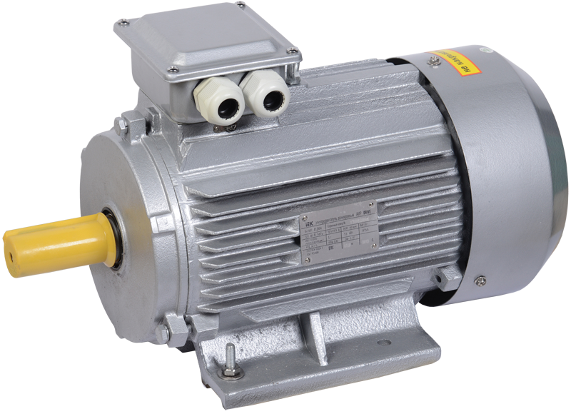 Жапондық порно модельдер