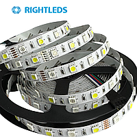RGB+W Лента светодиодная 60 точек на метр 12V, 12W/M, Бухта 5 м.