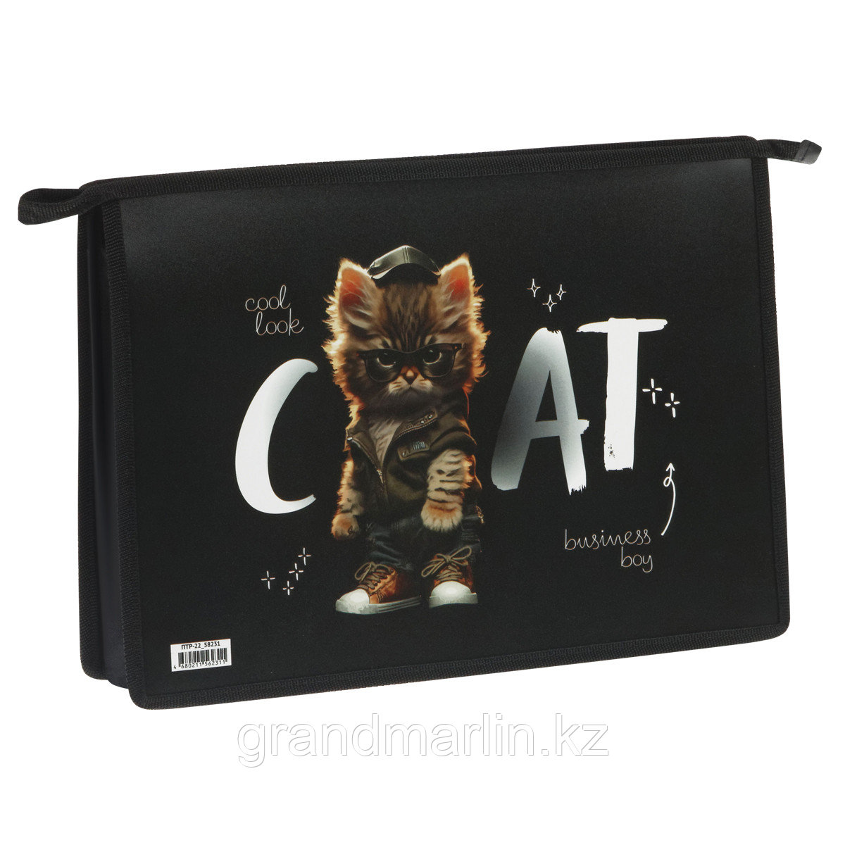 Папка для труда 2 отделения, А4, ArtSpace "Cat life", пластик, на молнии, фото 1