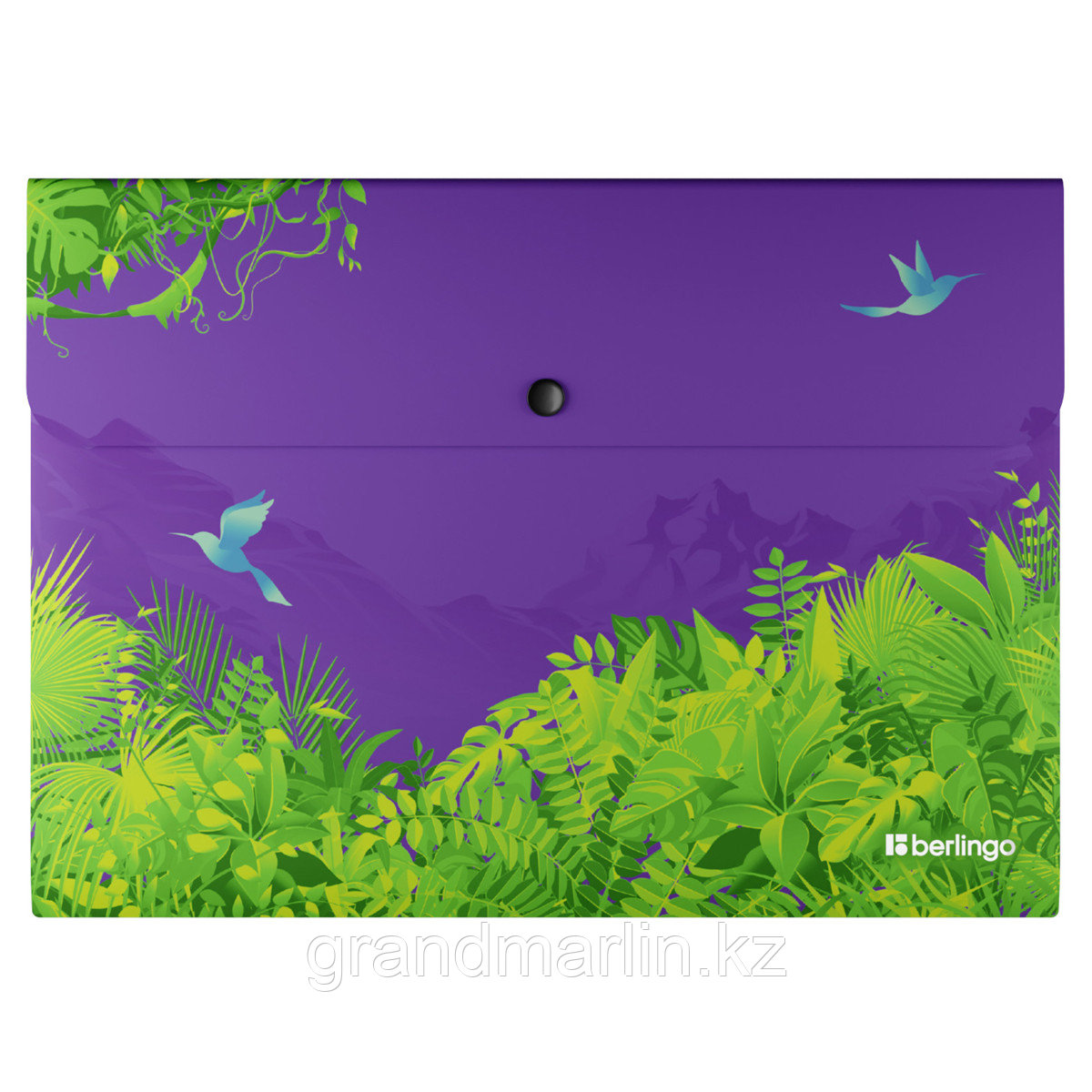 Папка-конверт на кнопке Berlingo "Flower Art", А4, 330мкм, с рисунком, фото 1