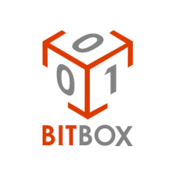 Модуль BitBox Slave первичное приобретение