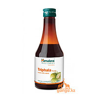 Сироп Трифала (Triphala syrup HIMALAYA), 200 мл