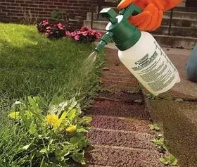 Уничтожение сорняков гербицидами сплошного действия