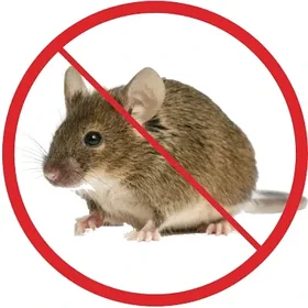 Дератизация зданий