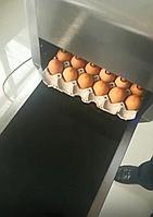 Маркиратор датир на яйца куриные
