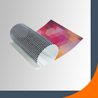 Печать на перфорированном виниле, фото 3