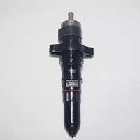 Форсунка 4307428 Cummins KTA19, KTA38, KTA50, KTTA19, K19, K38, K50