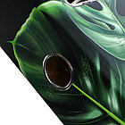 Пaпкa-регистратор А4, 75 мм, deVENTE Tropicana, ламинированый картон, черный/зеленый, разборный, фото 2