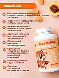 Мармелад Пробиогам со вкусом абрикоса Артлайф, фото 5