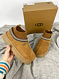 UGG Tasman Угги Зима  ЛЮКС Качество, фото 6