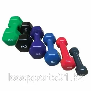 Гантели для фитнеса 2Lb (1Lb+1Lb)