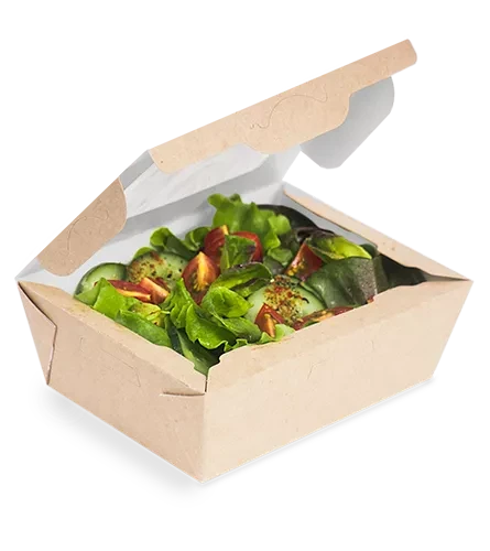 Упаковка OSQ Salad 600 ( 500 шт./кор)