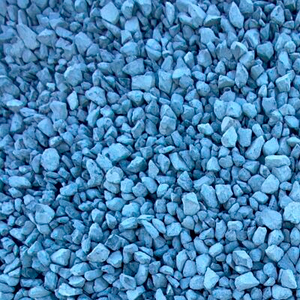 Жасыл түсті жыныс мүшесі