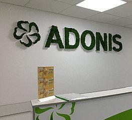 Логотипы из мха: креативное решение для брендов