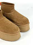 UGG Tasman Угги Зима  ЛЮКС Качество, фото 4