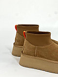 UGG Tasman Угги Зима  ЛЮКС Качество, фото 7