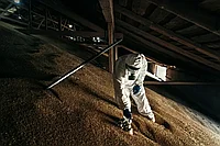 Отличия дезинсекции и фумигации