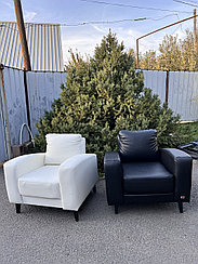 Кожаное кресло в аренду — аренда кресел и кресел мешков в Алматы