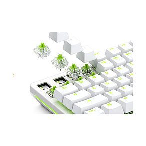 Переключатель Glorious Raptor (GLO-SWT-RAPTOR-LUBED), фото 2