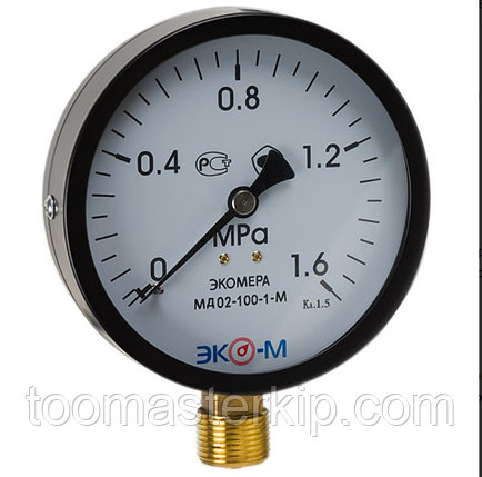 Манометр ЭКОМЕРА МД02-100мм 0..1,6МПа М20х1,5 (исп.2), фото 1