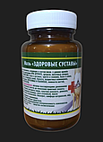 Мазь Монастырская Кавказский Целитель, Здоровые суставы, 100мл, фото 3
