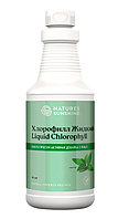 Хлорофилл жидкий NSP - суперхлорофилл
