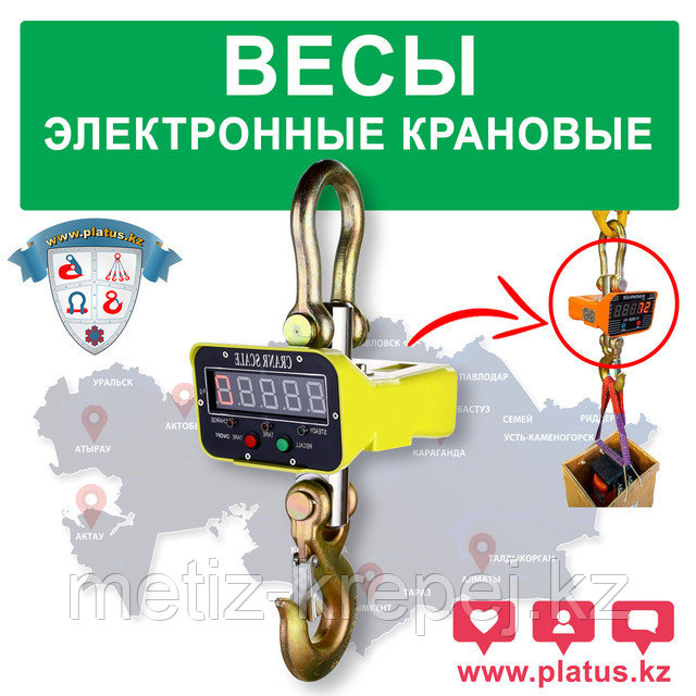 Палтус рыба синекорый. Палтус стрелозубый. Harpalus solitaris. Обои adawall alfa 3716-7. Платус.