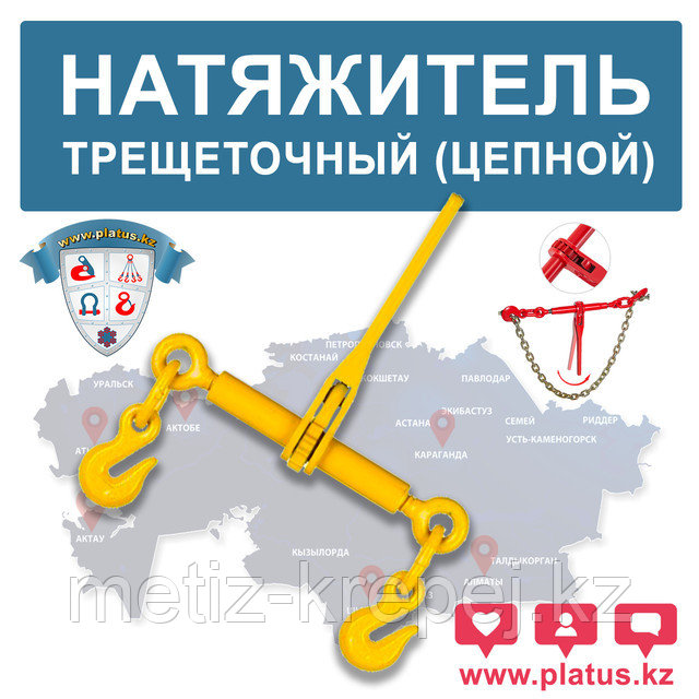 Палтусы камбаловые. Тихоокеанский белокорый палтус. Платус. Платус. Атлантический белокорый палтус.