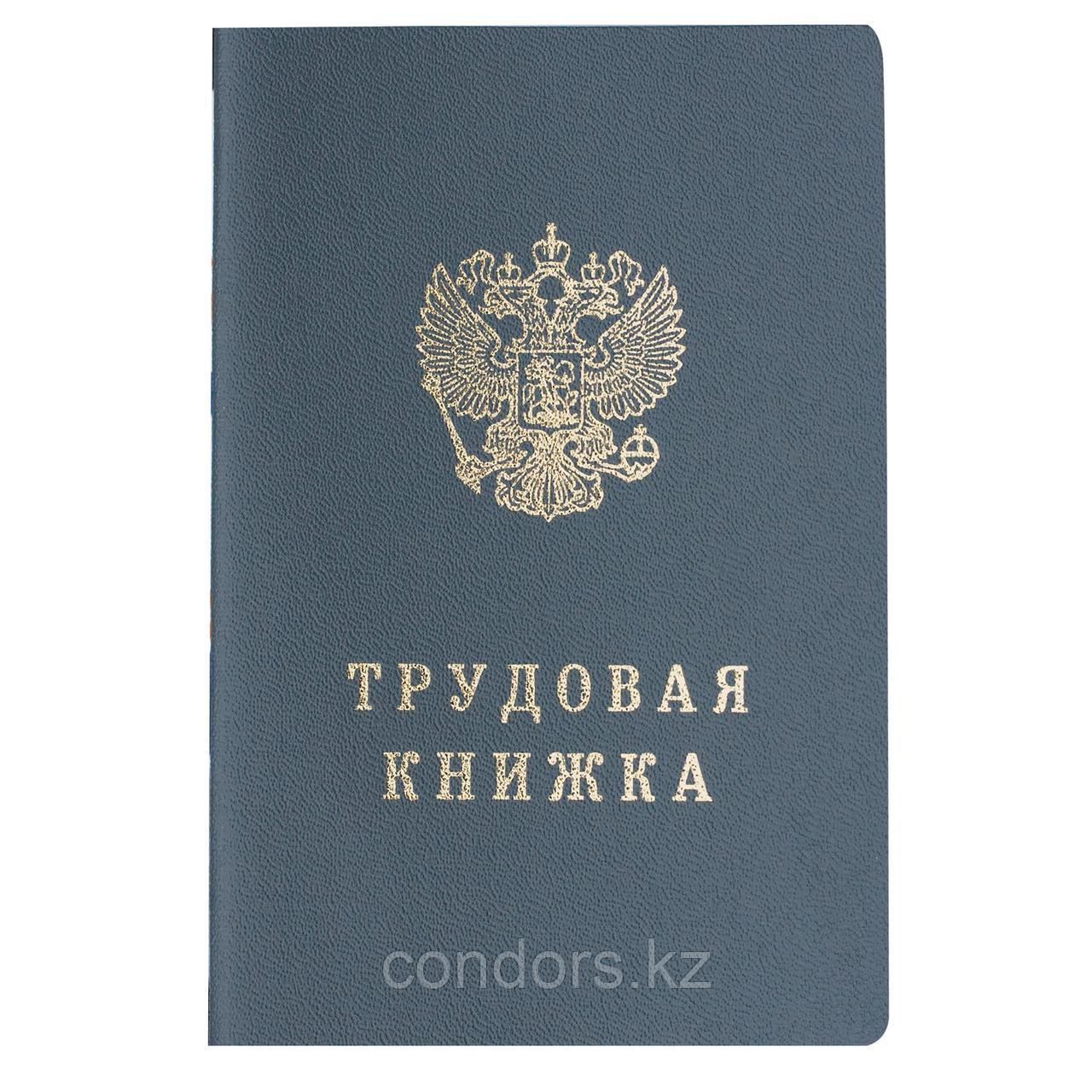 Бланк документа "Трудовая книжка", 88х125 мм, ГОЗНАК, фото 1
