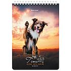 Блокнот А5 (146х206 мм), 80 л., гребень, картон, клетка, BRAUBERG, "Грациозные собаки", 114376, фото 4