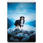 Блокнот А5 (146х206 мм), 80 л., гребень, картон, клетка, BRAUBERG, "Грациозные собаки", 114376, фото 6