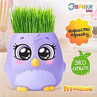 Набор для опытов "Пташки, выращиваем травку", фиолетовый горшочек, 5155390