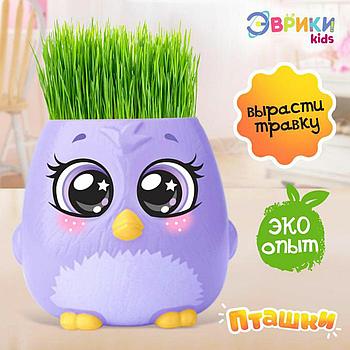 Набор для опытов "Пташки, выращиваем травку", фиолетовый горшочек, 5155390