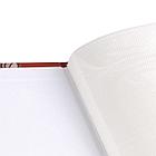 Фотоальбом BRAUBERG на 200 фото 10х15 см, твердая обложка, "Флора", серый с красным, 391121, фото 5