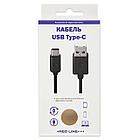 Кабель USB 2.0 AM-TypeC, 1 м, RED LINE, для подключения портативных устройств и периферии, черный, УТ000010553, фото 2