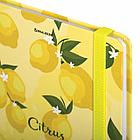 Блокнот с резинкой без линовки 96 л., А5 (145х203 мм), твердая обложка, BRAUBERG, "Lemons", 113727, фото 3