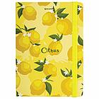 Блокнот с резинкой без линовки 96 л., А5 (145х203 мм), твердая обложка, BRAUBERG, "Lemons", 113727, фото 7