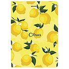 Блокнот с резинкой без линовки 96 л., А5 (145х203 мм), твердая обложка, BRAUBERG, "Lemons", 113727, фото 8