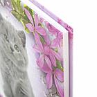 Блокнот МАЛЫЙ ФОРМАТ 110х147 мм, А6, 80 л., твердый, клетка, выборочный лак, BRAUBERG, "Котята", 122192, фото 5