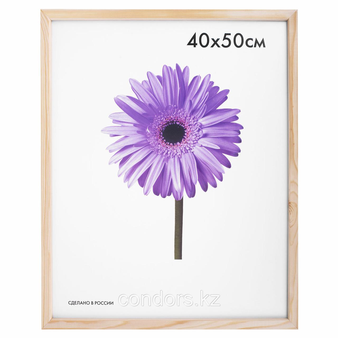 Рамка премиум 40х50 см, дерево, багет 18 мм, "Sasha", светло-коричневая, 0011-16-0000, фото 1