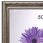 Рамка премиум 50х70 см, пластик, багет 33 мм, "Dorothy", серебро, 0023-50-3330, фото 2