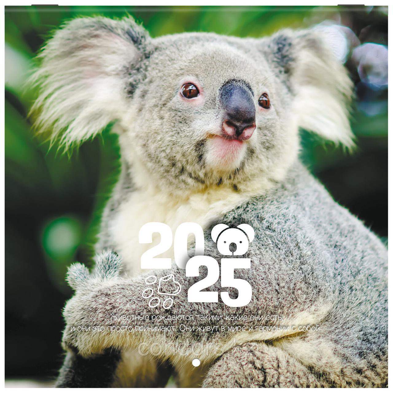 Календарь настенный перекидной на 2025 г., BRAUBERG, 12 листов, 22,5х22,5 см, МИНИ, "Дикие животные", 116179, фото 1