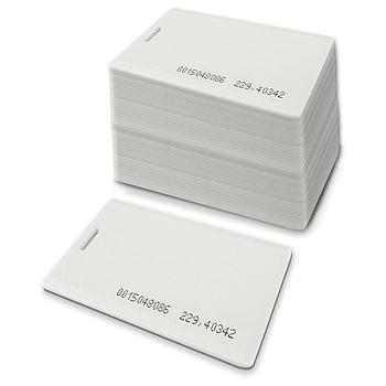 Карта доступа магнитная FALCON EYE "Em-marine" 125 кГц, ТОЛСТАЯ, комплект 50 шт., неперезаписываемая,