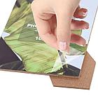 Рамка 10х15 см небьющаяся, багет 20 мм, МДФ, BRAUBERG "William", черная, 391266, фото 4