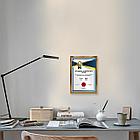 Рамка 21х30 см небьющаяся, багет 15 мм, пластик, BRAUBERG "Respect", бронзовая, 391270, фото 8