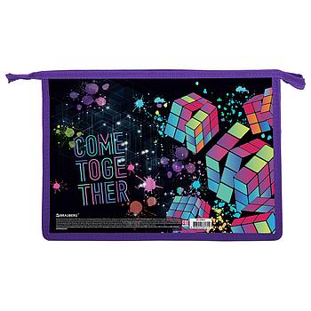 Папка для труда на молнии BRAUBERG А4, 2 отделения, органайзер, "Come together", 270977