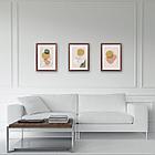 Рамка 21х30 см небьющаяся, КОМПЛЕКТ 3 шт., багет 17 мм МДФ, STAFF "Carven", цвет мокко, 391322, фото 6