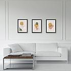 Рамка 21х30 см со стеклом, КОМПЛЕКТ 3 штуки, багет 18 мм МДФ, STAFF "Grand", цвет венге, 391333, фото 6