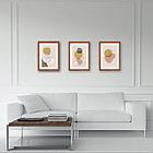 Рамка 21х30 см со стеклом, КОМПЛЕКТ 3 штуки, багет 17 мм, дерево, STAFF "Classic", темно-коричневая, 391390, фото 6